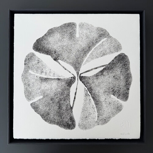 Ginkgo / Black Ink / 44 x 44 cm by Andrea Mönch, 종이 for Sale on Singulart