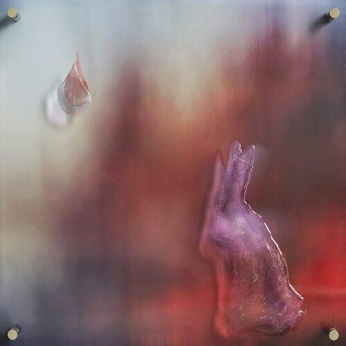 In focus van Elena Mitina, Andere media te koop op Singulart