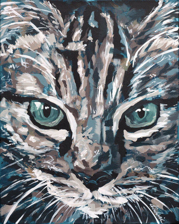 Cat 01 Tadaomi Kawasaki
