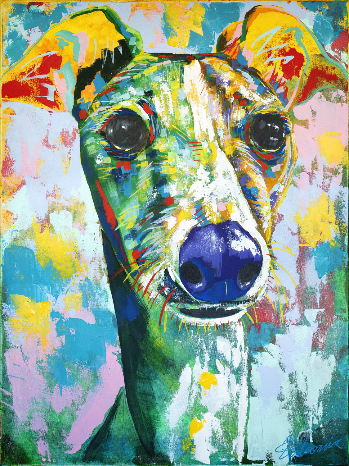 Italian Greyhound Tadaomi Kawasaki