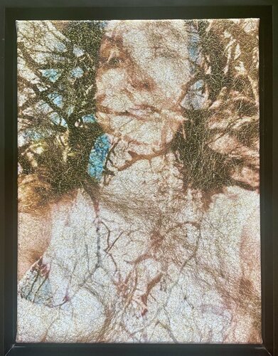 MYSELF IN THE TREE di Ilona Johanna Plattner, Fotografia in vendita su Singulart