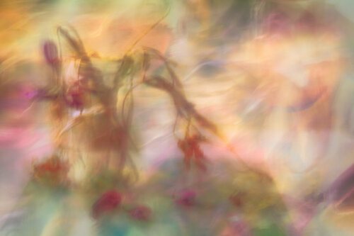 End of Summer by Susanna Patras, Photography for Sale on Singulart