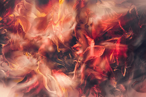 Golden Dreams von Susanna Patras, Fotografie kaufen auf Singulart