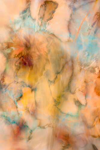 Dance of the Butterflies par Susanna Patras, Photographie en vente sur Singulart