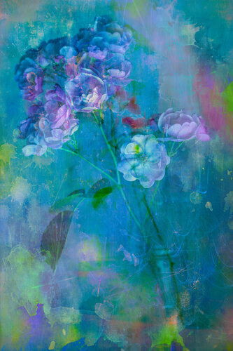 Colors of My Dreams by Susanna Patras, Photography for Sale on Singulart