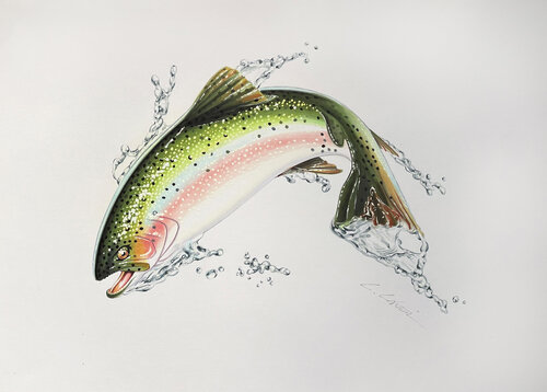 Jumping Fish von Leonello Calvetti, Malerei kaufen auf Singulart