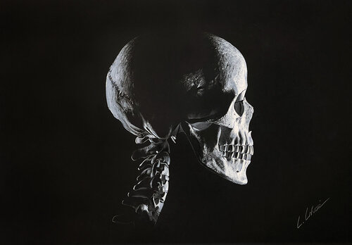 Human Skull von Leonello Calvetti, Malerei kaufen auf Singulart
