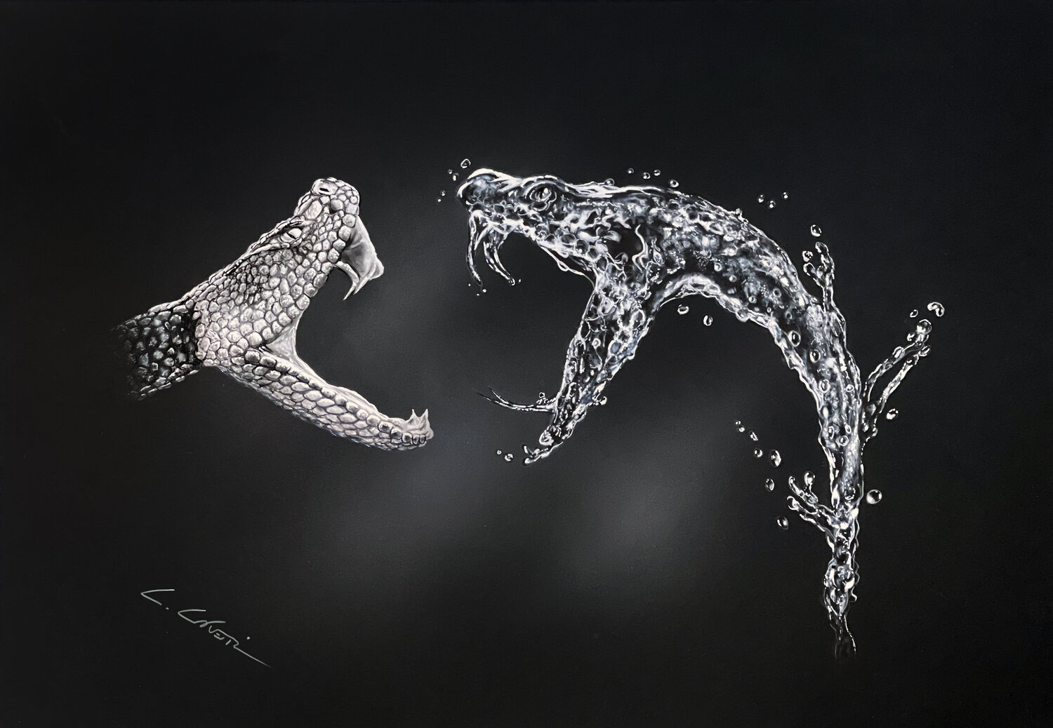 Snake Antidote Leonello Calvetti