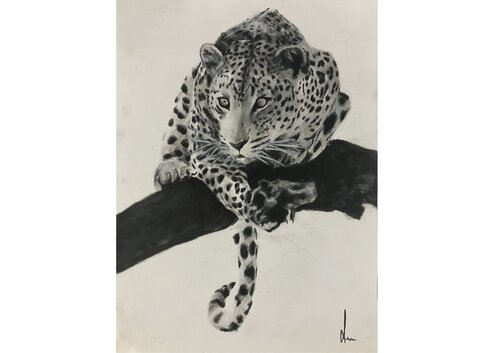 Leopard von Diana Art, Zeichnungen kaufen auf Singulart