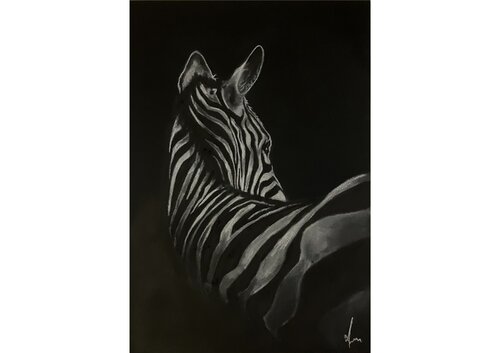 Zebra in Silence von Diana Art, Zeichnungen kaufen auf Singulart