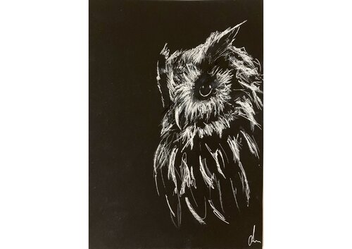 The Listener (Owl III, Collection I – "Owls", August 2025) von Diana Art, Zeichnungen kaufen auf Singulart