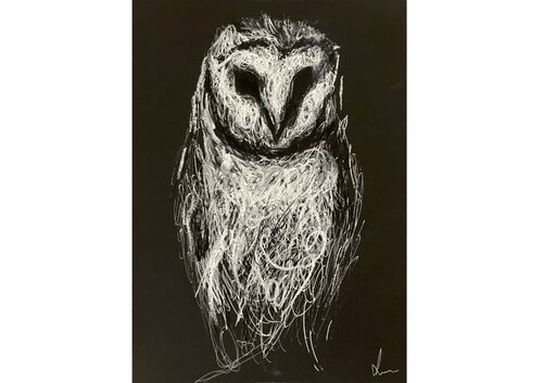 The Silent (Owl II, Collection I – "Owls", August 2025) von Diana Art, Zeichnungen kaufen auf Singulart