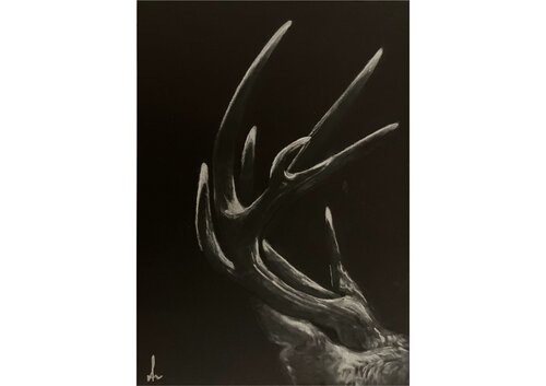 Forest Shadow (Antlers I, Collection I– "Antlers", August 2025) von Diana Art, Zeichnungen kaufen auf Singulart