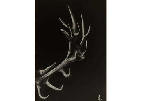 Strength (Antlers III, Collection I– "Antlers", August 2025) von Diana Art, Zeichnungen kaufen auf Singulart