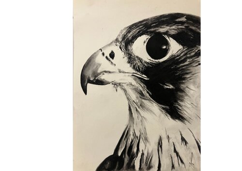 The Gaze of Freedom von Diana Art, Zeichnungen kaufen auf Singulart