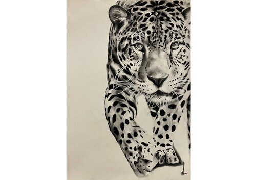 Silent Power von Diana Art, Zeichnungen kaufen auf Singulart