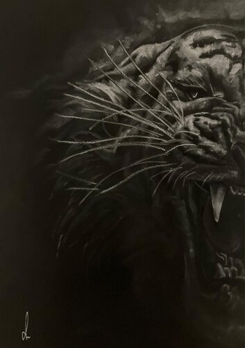 White Tiger by Diana Art, Drawing for Sale on Singulart