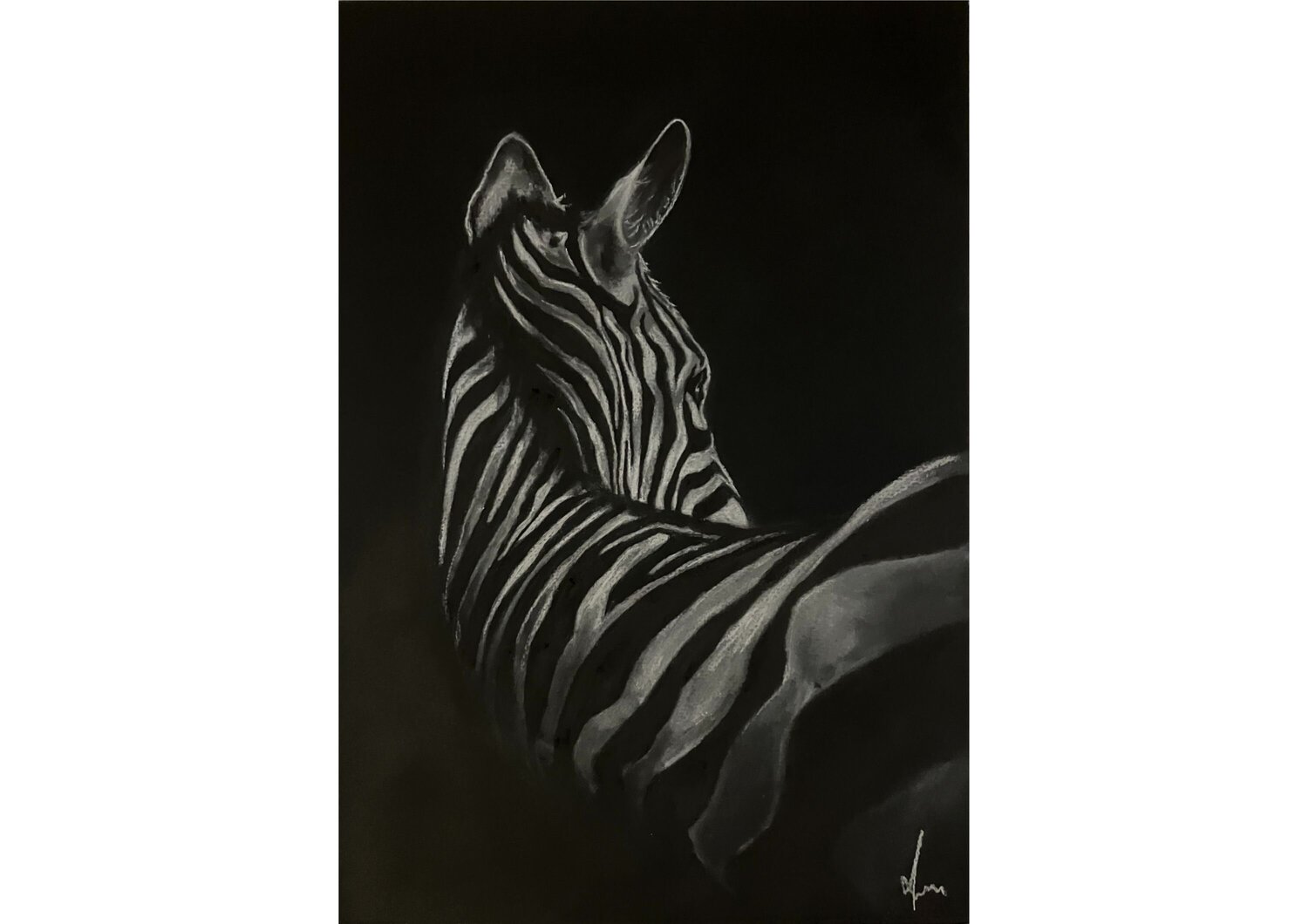 Zebra in Silence Diana Art