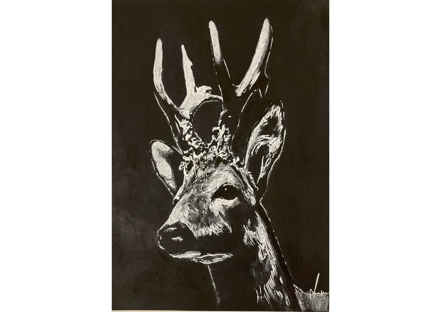 Roebuck Diana Art