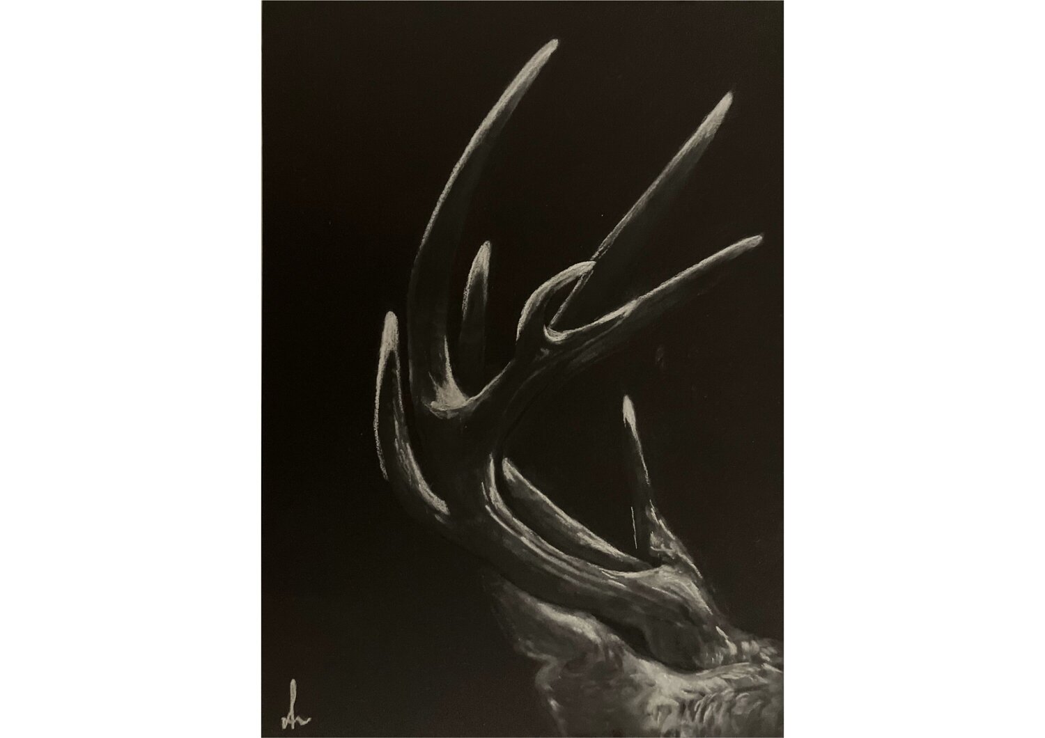 Forest Shadow (Antlers I, Collection I– "Antlers", August 2025) Diana Art Zeichnungen zu verkaufen