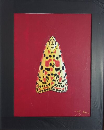 099_CB_Lepidoptera_Red di Antonio Bocero Sanchez, Pittura in vendita su Singulart