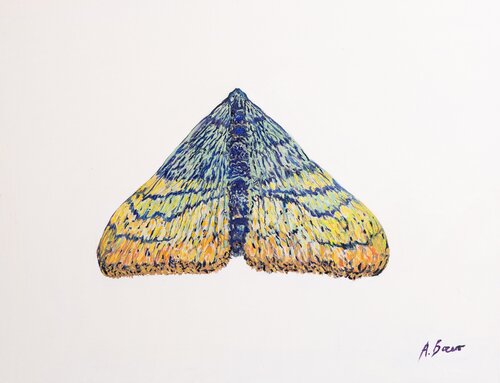 Lepidoptera_White_CB_099 di Antonio Bocero Sanchez, Pittura in vendita su Singulart