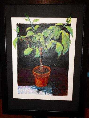 .099Cv_Citrus_×_limon_Bonsai_3Años_Verna. von Antonio Bocero Sanchez, Werk auf Papier kaufen auf Singulart