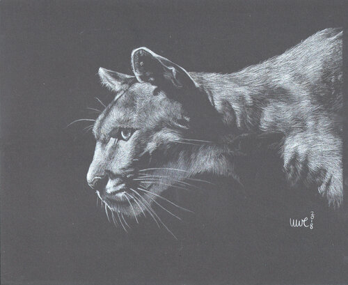 Morning Light di Uwe Reber, Disegno in vendita su Singulart