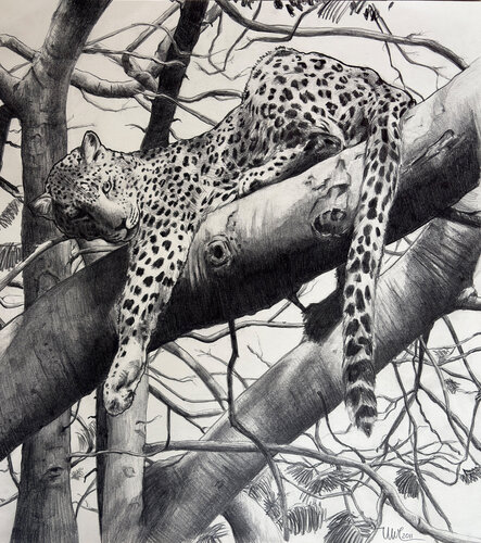 Resting by Uwe Reber, 종이 for Sale on Singulart