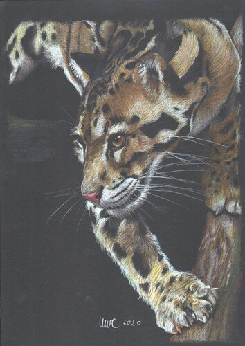 Waiting by Uwe Reber, Work on Paper for Sale on Singulart