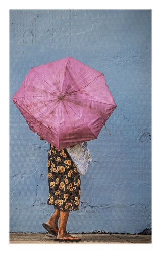 Rose Shadow von Pascal Clément Art, Fotografie kaufen auf Singulart