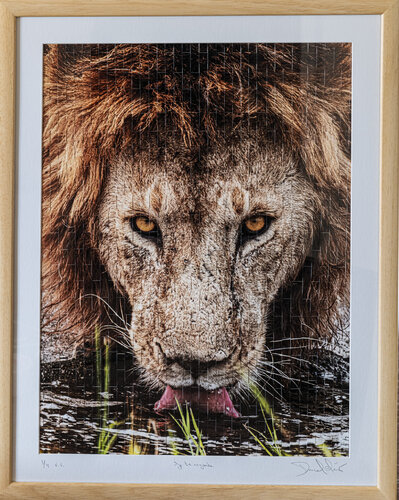 Je te regarde van Pascal Clément Art, Fotografie te koop op Singulart