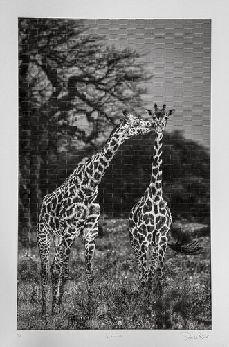 I love U by Pascal Clément Art, Photography for Sale on Singulart