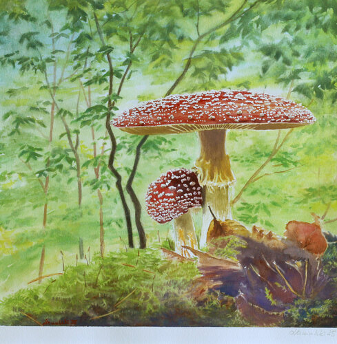 Fliegenpilz auf Moos von Joanna Hamulski, Malerei kaufen auf Singulart