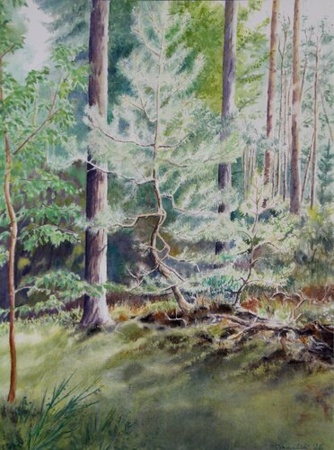 Young pine 2 von Joanna Hamulski, Malerei kaufen auf Singulart