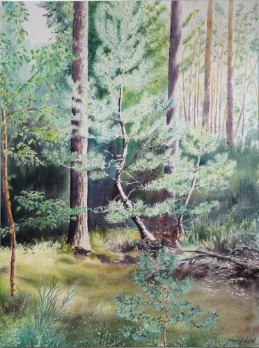 Young pine 1 von Joanna Hamulski, Malerei kaufen auf Singulart