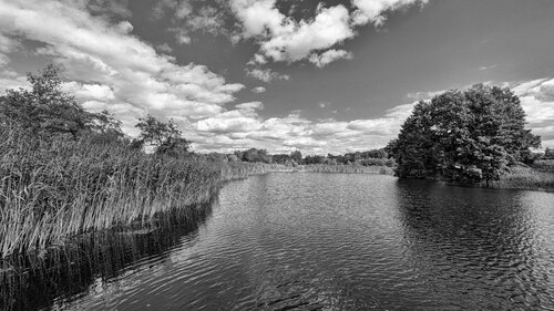 Idylle in Brandenburg (Ziegeleipark Mildendorf) von Thomas Falkner, Fotografie kaufen auf Singulart