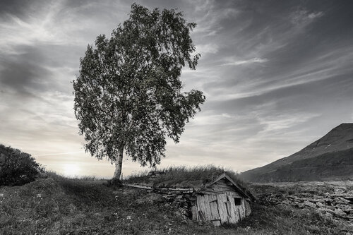 Stille Zuflucht Thomas Falkner