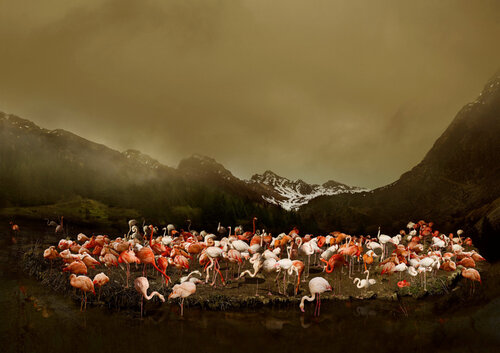 Gentle highland di Tina Winkhaus, Digitale in vendita su Singulart