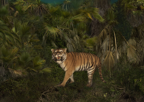 Tiger di Tina Winkhaus, Digitale in vendita su Singulart