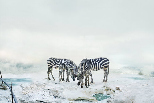 Enlighted landscape par Tina Winkhaus, Digital en vente sur Singulart