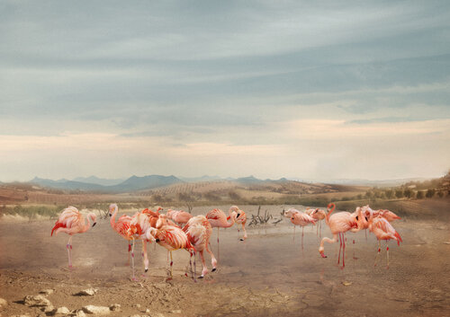 Morninglight di Tina Winkhaus, Digitale in vendita su Singulart