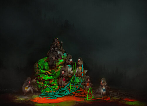 monkeys sitting on the edge of the forest von Tina Winkhaus, Digital kaufen auf Singulart
