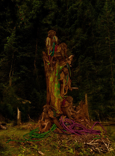 Monkeys sitting on a tree , Earth Odyssee di Tina Winkhaus, Digitale in vendita su Singulart