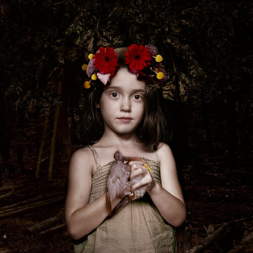 IS THIS BIRD DEAD ? von Tina Winkhaus, Fotografie kaufen auf Singulart