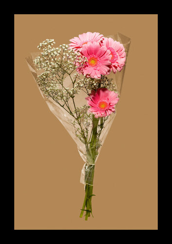 GERBERA par Tina Winkhaus, Digital en vente sur Singulart