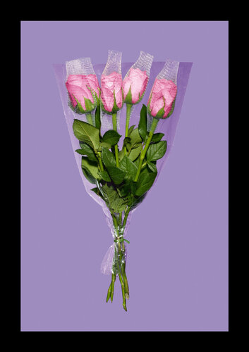 ROSE di Tina Winkhaus, Digitale in vendita su Singulart
