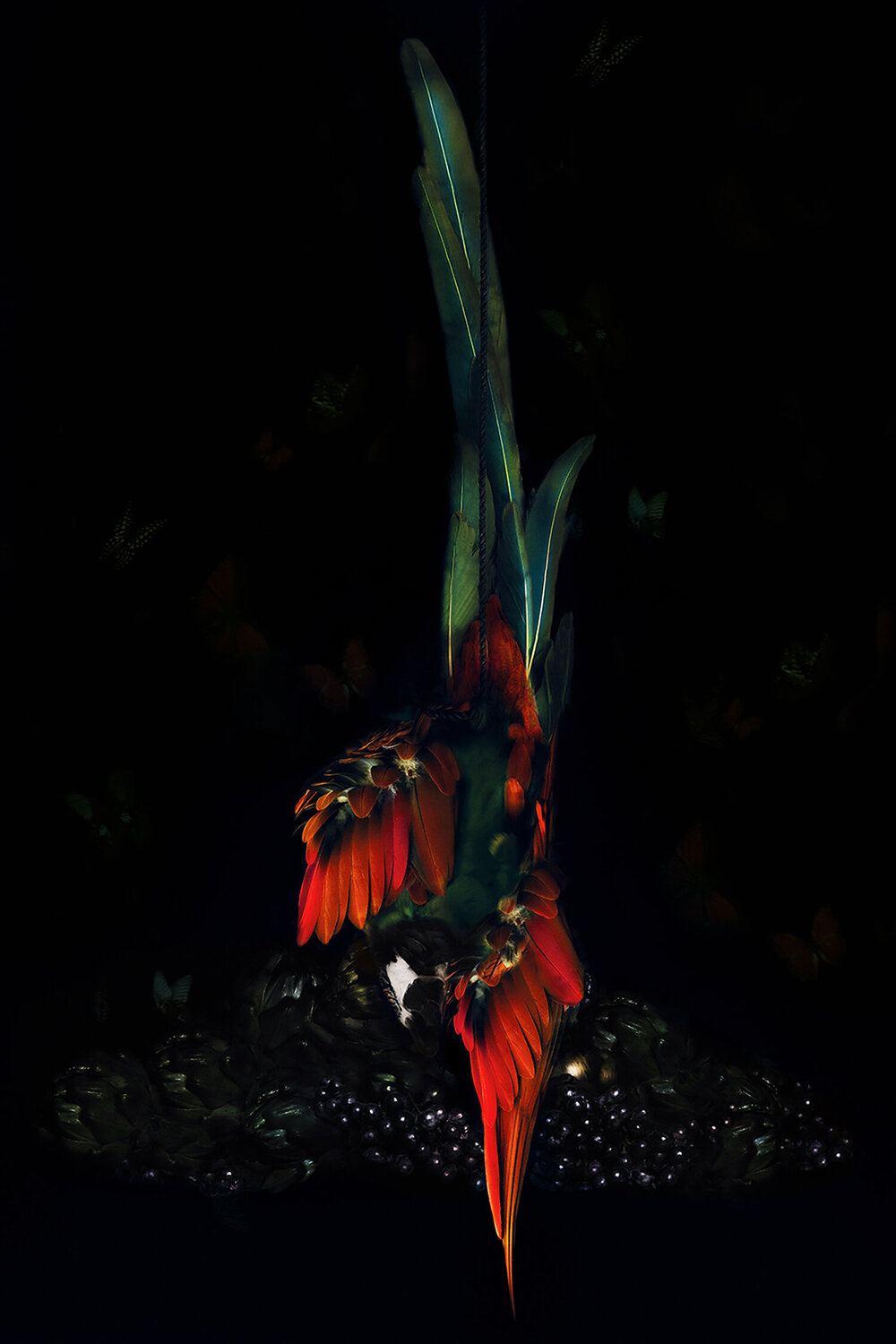 Suspended Parrot Tina Winkhaus