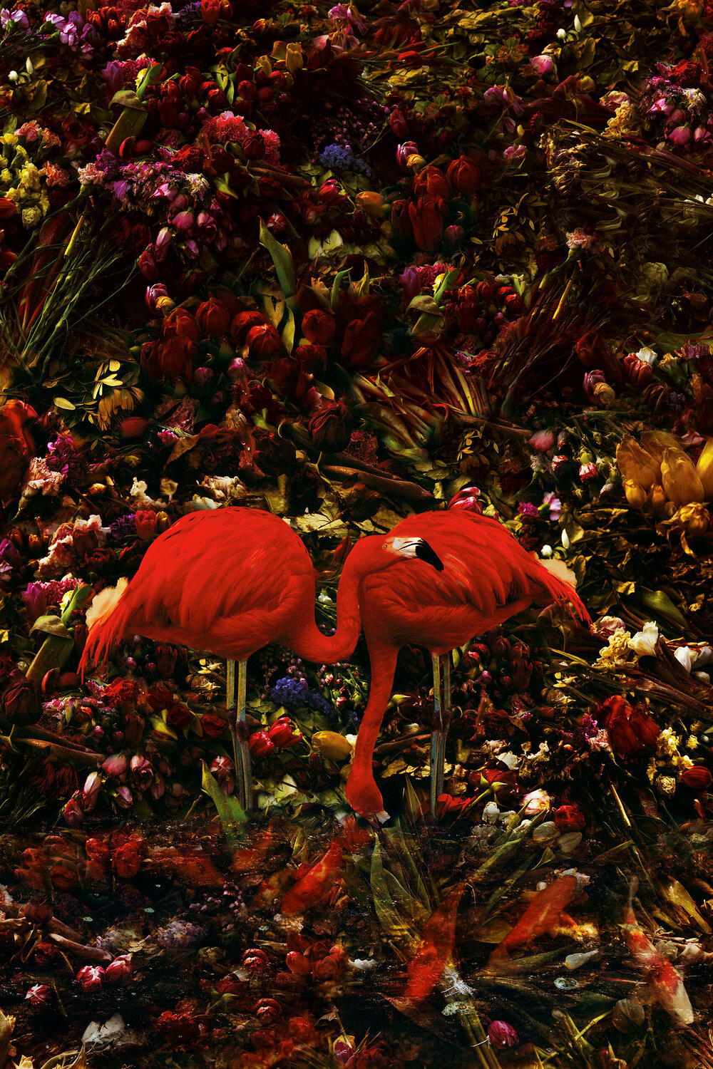 The Flamingo's Mirror Tina Winkhaus