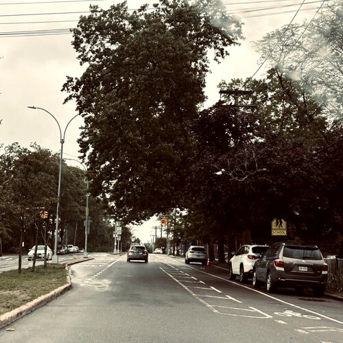 New York Forest von Amanda Harris, Fotografie kaufen auf Singulart